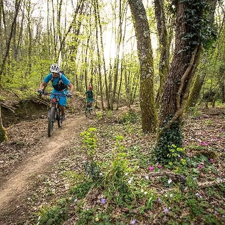 酒店 昂基欧丽诺酒店 3*