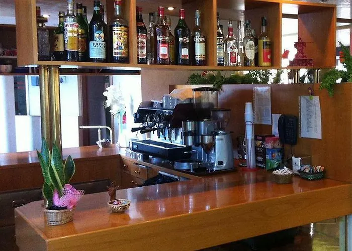 Hotel Angiolino 3*